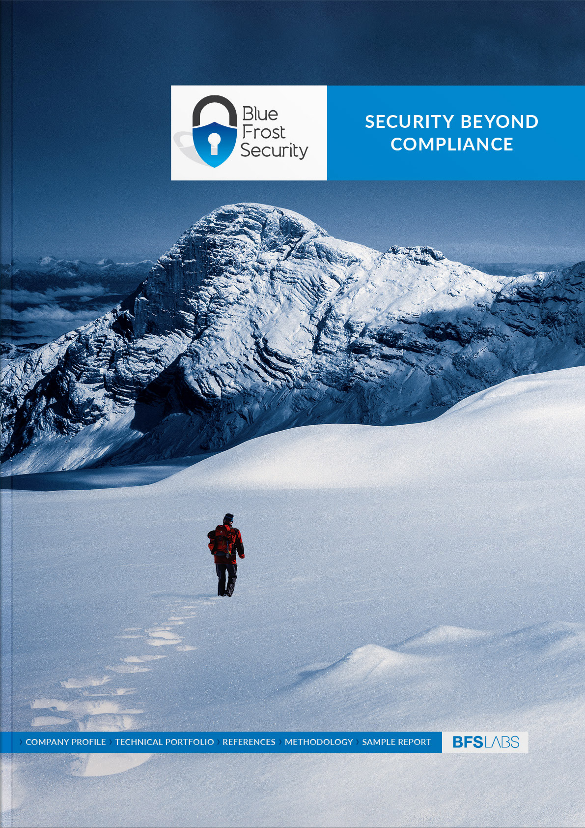 bluefrostsecurity buch cover