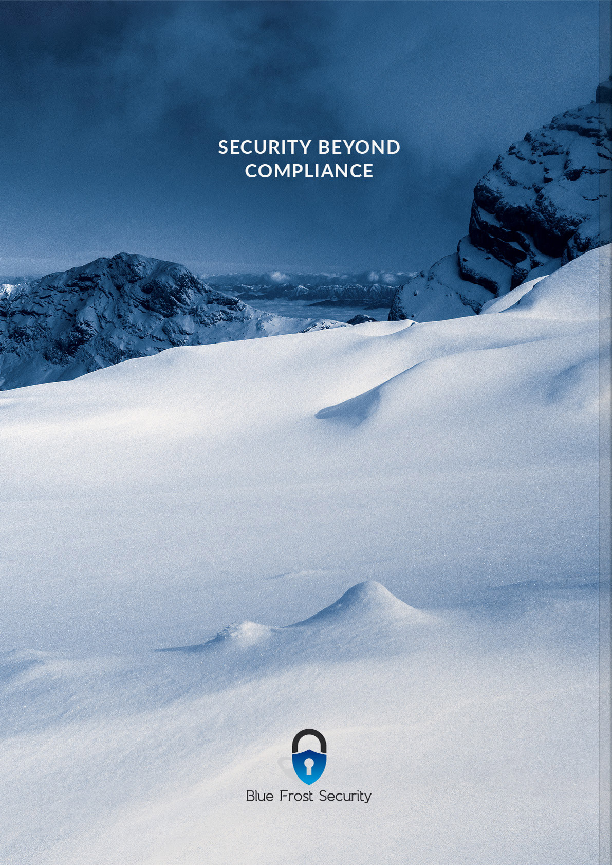 Blue Frost Security Hard Cover Buch